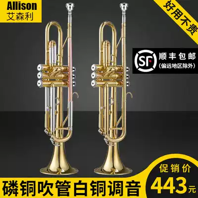 Eisenli trumpet musical instrument horn bronze wind instrument professional performance senior trumpet blowing foreign Horn B flat tone