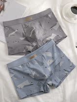 Japanese mens underwear pure cotton antibacterial seamless comfortable and breathable youth boxer shorts Modal mid-waist four-corner shorts