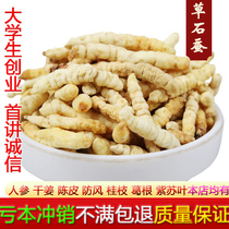 Earth Worm Grass 500g Grass Stone Silkworm White Ground Caterpillar Fungus Chinese Herbal Medicine Can Grind Soil Worm Grass Powder Chinese Herbal Medicine