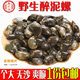 Pin Sanjiang wild 6A drunk mud snail king yellow mud snail drunk conch a large no sand Ningbo marinated seafood 280g