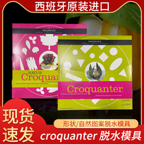 Spanish Croquanter air-drying machine formwork dry hair molds Molecular Food Dehydrated Mold Natural pattern shape