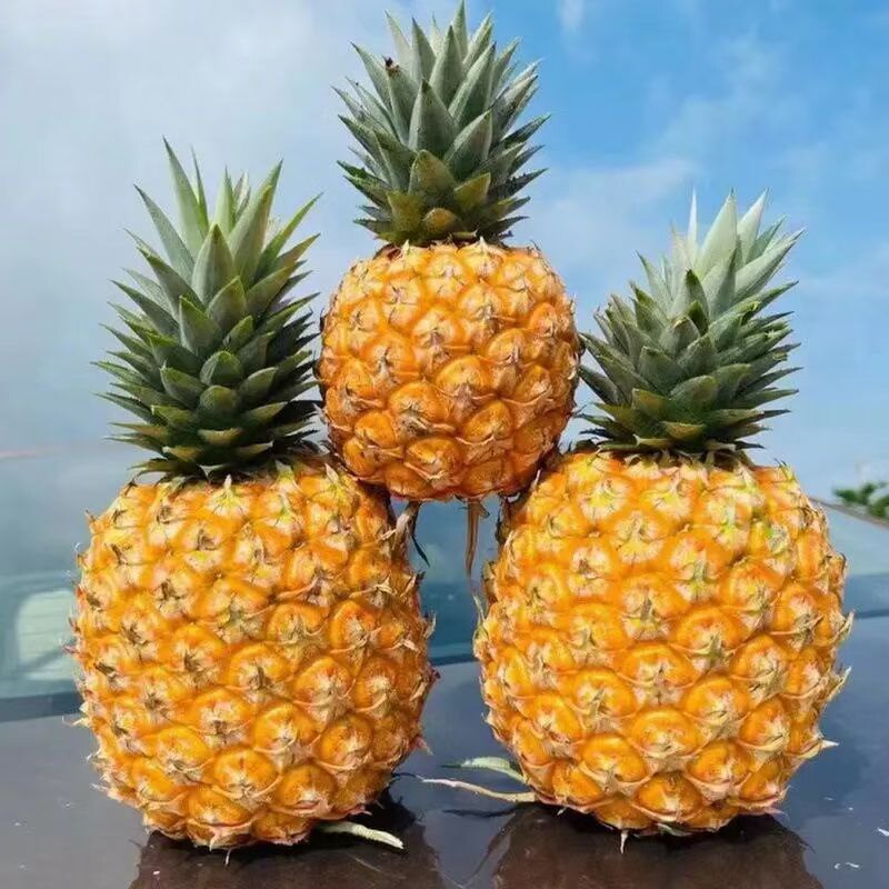 李鲜生海南芒果凤梨的LOGO