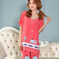 Арбуз звезды красного кита