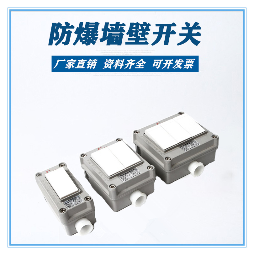 Explosion-proof switch Lighting switch Explosion-proof light switch One-on double switch BQM-I 10A explosion-proof skip switch