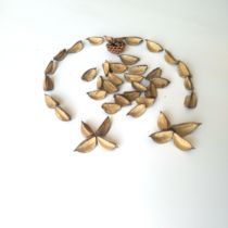 Imported varieties of natural cotton shell desk living room decoration dried flower drop shooting props with artistic flavor