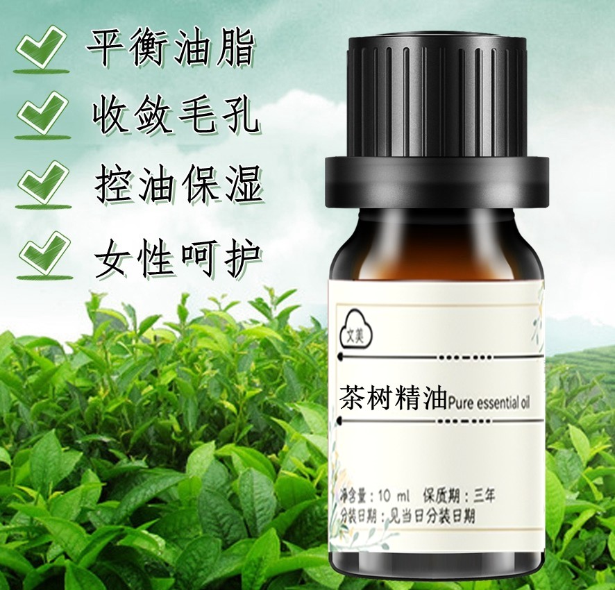 茶树精油10ml天然单方控油收缩毛孔提神去豆修护护发去屑香薰