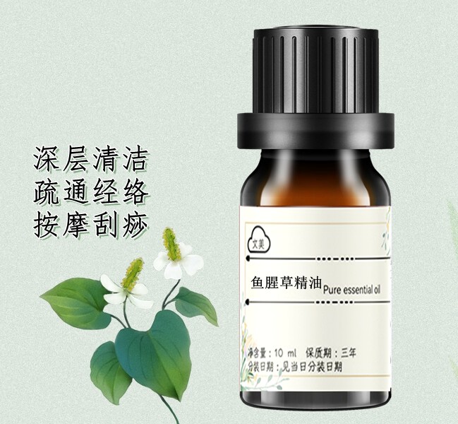 鱼腥草精油10ml 草本植物单方精油 深层清洁  疏通经络按摩刮痧油