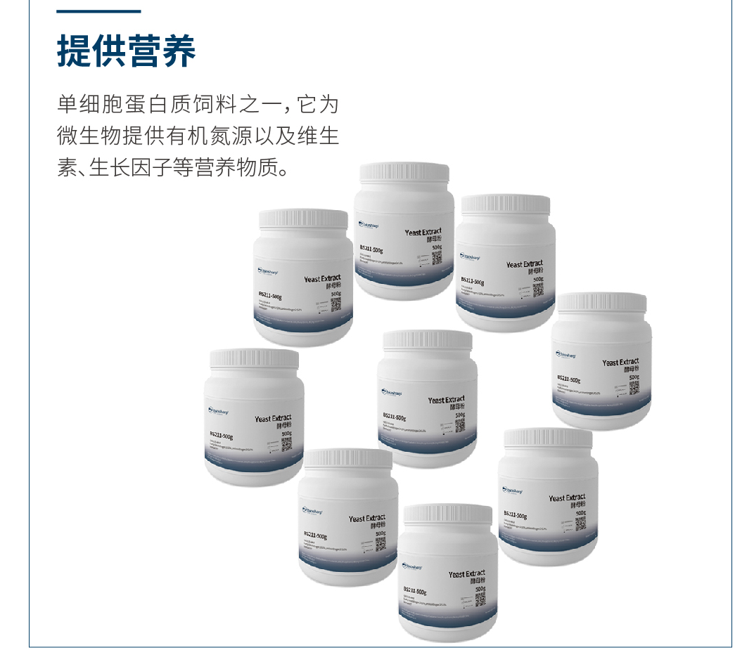 Biosharp BS211-500g 酵母粉 500g，11月效期特价