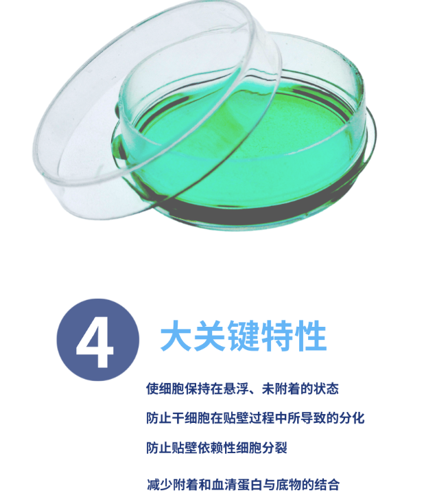 国产60mm细胞培养皿 易握型 超低吸附 替换康宁 3261
