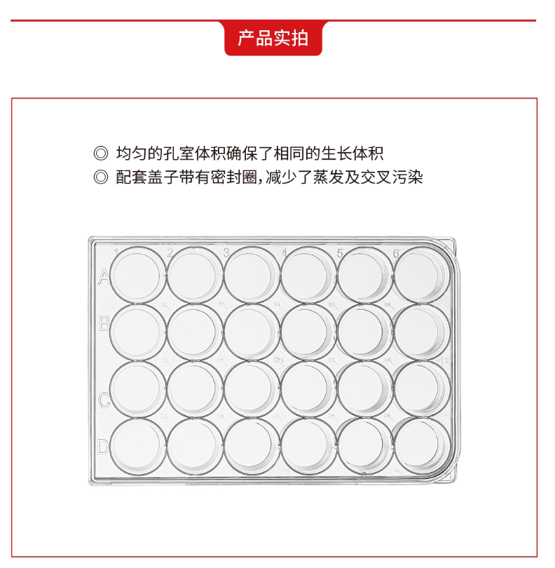 国产24孔细胞培养板多聚-D-赖氨酸包被表面替换BD Biocoat 354414