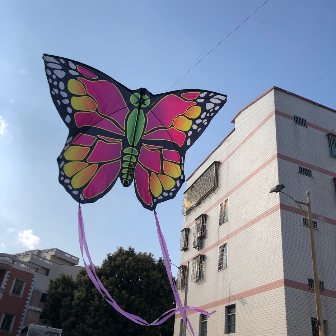Outlet American Children Nylon Outdoor Easy To Fly With Line Big Numbers Adult Cartoon Personality Eagle Plane Fairy Kite