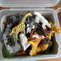 Export wild simulation animal model tiger elephant children boys and girls doll kindergarten educational toy set