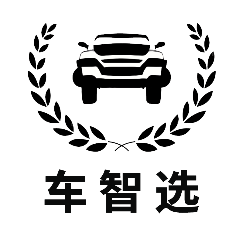 车智选车品优选的LOGO