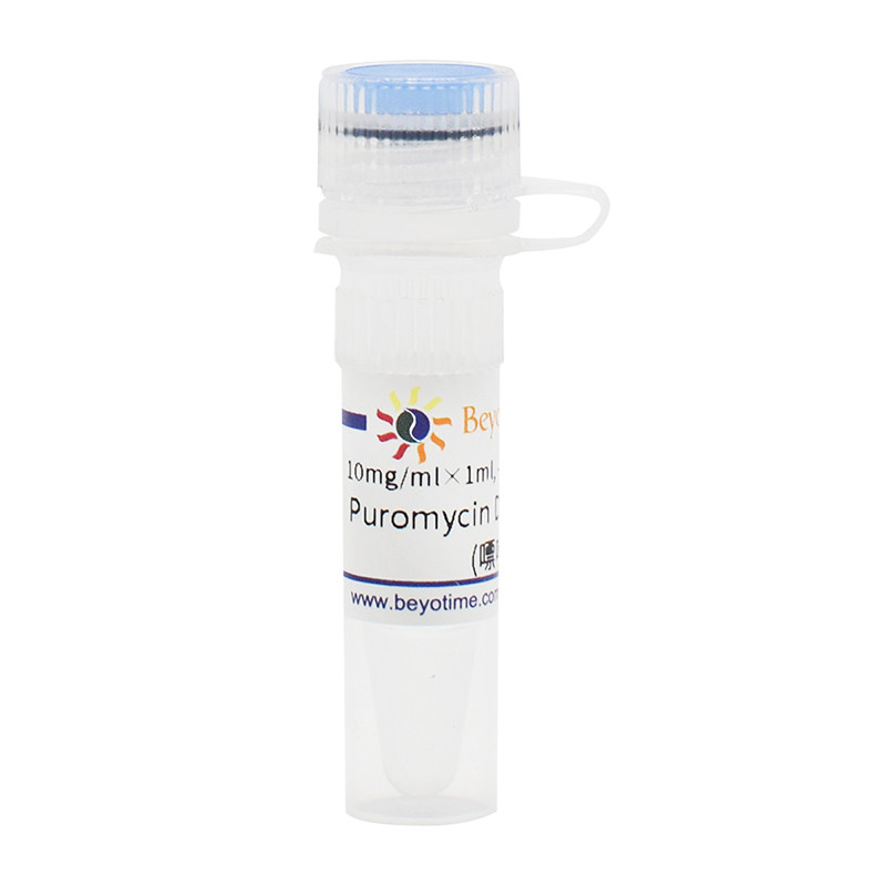 Puromycin Dihydrochloride (嘌呤霉素) 碧云天生物 Beyotime