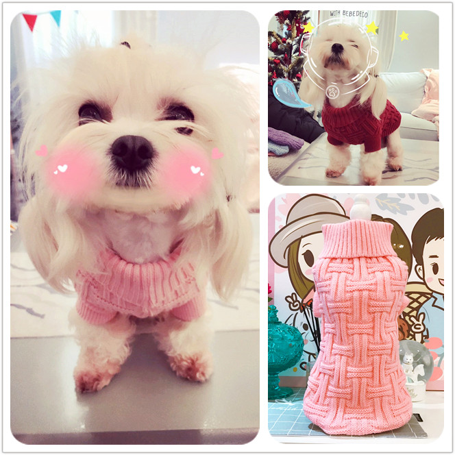  Tide Dog Cotton Clothing Kokie Autumn winter sweater ~ Pet clothes Puppy pooch VIP Teddy Winter Dress Big-boy