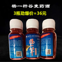 Chongqing Heichuan Yang Teacher a pole of heaven and wheat medicinal liquor small medicine bubble rice foam wheat to kill the carp of carp