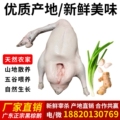 广东养殖场屠宰直销