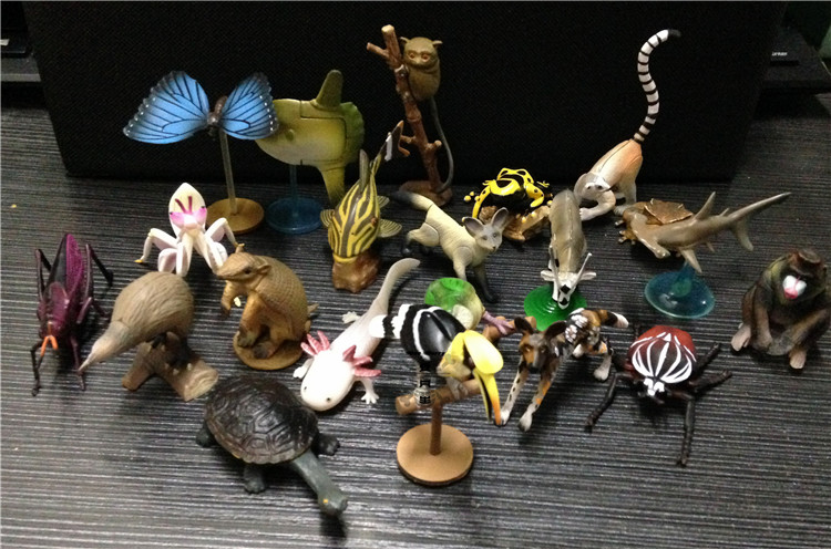 Japanese animal 7 Mantis Chocoq