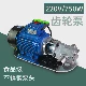 Из нержавеющей стали, 220v, 750W