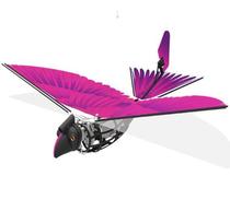 Hanwang early bird intelligent bionic flapping wing electric intelligent control children's educational toy bionic robot bird