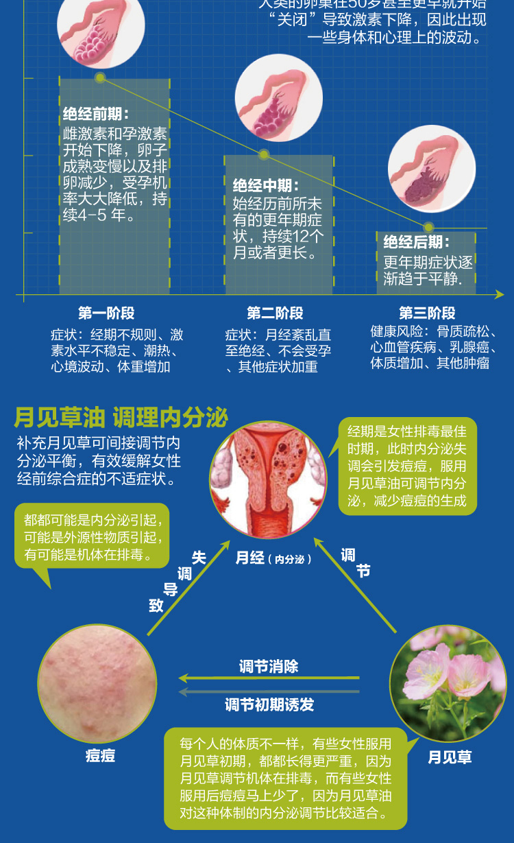 Orthomol 奥适宝Femin异黄酮更年期