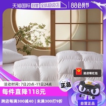 (Self-operated) Sleeping Cat Down Quilt 95 White Goose Down Duvet Core Winter Thickened Warm Quilt Four Seasons Spring and Autumn Quilt