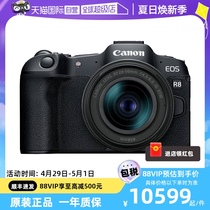 (самозанятые) Canon Canon EOS R8 полностью окрашен профессиональный микро-однофазный станок однофазный автомат 24-50 комплектов станка