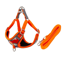 (Self-operated) Dog Leash Vest Type Small Dog Puppy Cat Harness Teddy Dog Walking Rope Chain Bichon Frize