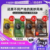 (Self-operated) LAVAZZA Italian original imported iTierra series coffee beans 3 packs