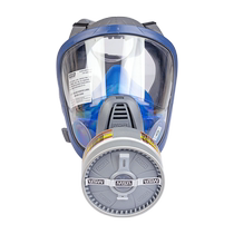 (Self-operated) Meisian gas mask full face mask special protective mask for spray painting chemical gas poisoning mask
