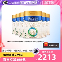 (Self-Employed) (New National Label) The Royal Dutch Merit Canel 2 segment 800 gr * 6 canned (6-12 months)