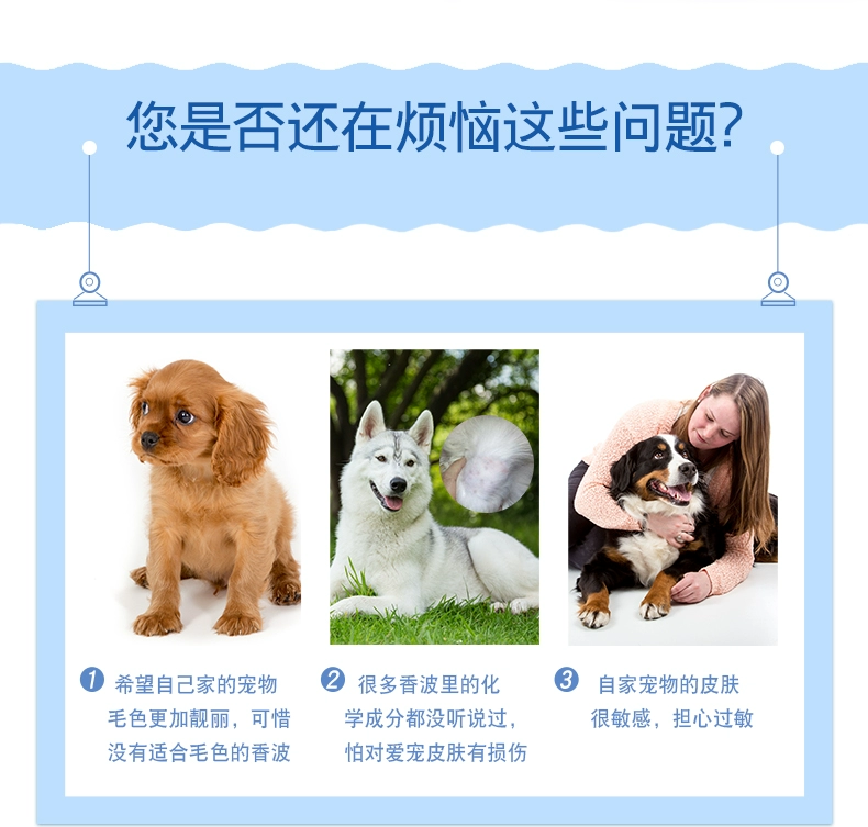 [Direct] Chó mèo nhập khẩu Beaphar / Bei Bang của Hà Lan với dầu gội tắm toàn diện - Cat / Dog Beauty & Cleaning Supplies