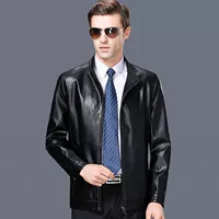 8865 Черный стоящий воротник/бархат