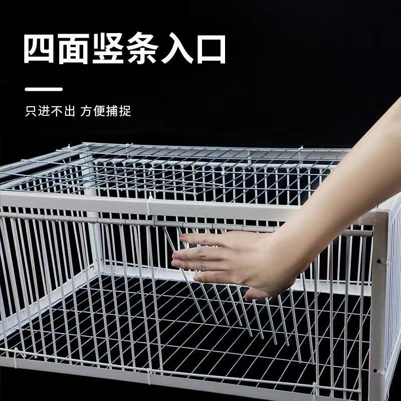 只进不出鸟笼全自动天落笼子撞门捕捉抓收鸽子捕笼器加密款-阿里巴巴