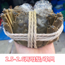 Gucheng Lake hairy crab crab fresh hairy crab fresh spot 2 5 two female crabs 1 loaded Chongqing