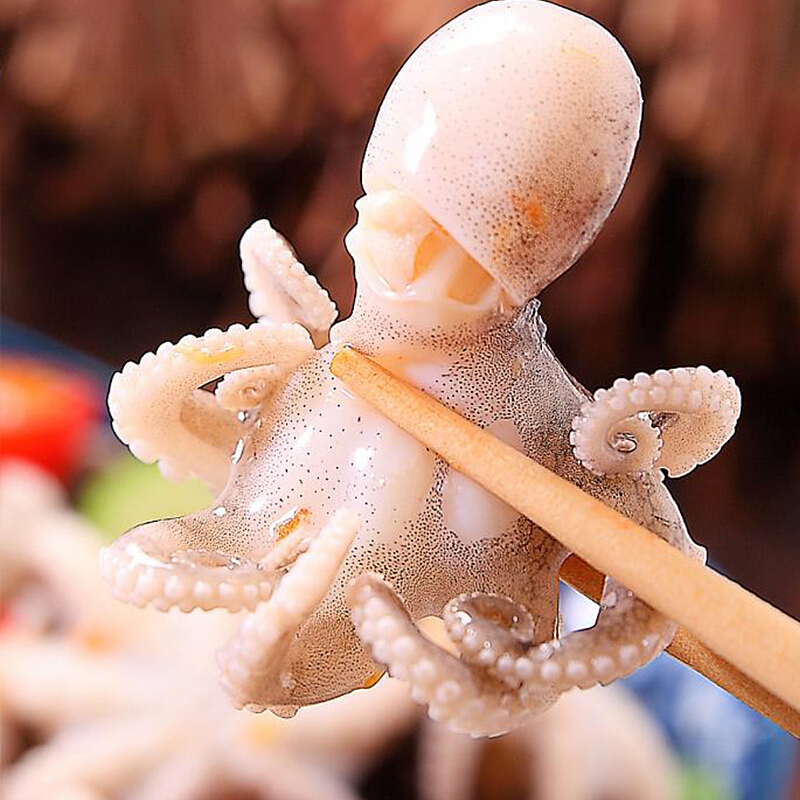 Chongqing Mini - claw fish long leg small octopus fresh seafood squid foot fish pot food 500g