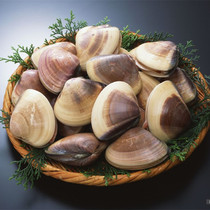 Chongqing Seafood clam Fresh Pine Red Island Living Moon clam Clam Sea Clams Live Seafood Steamed Egg Companion