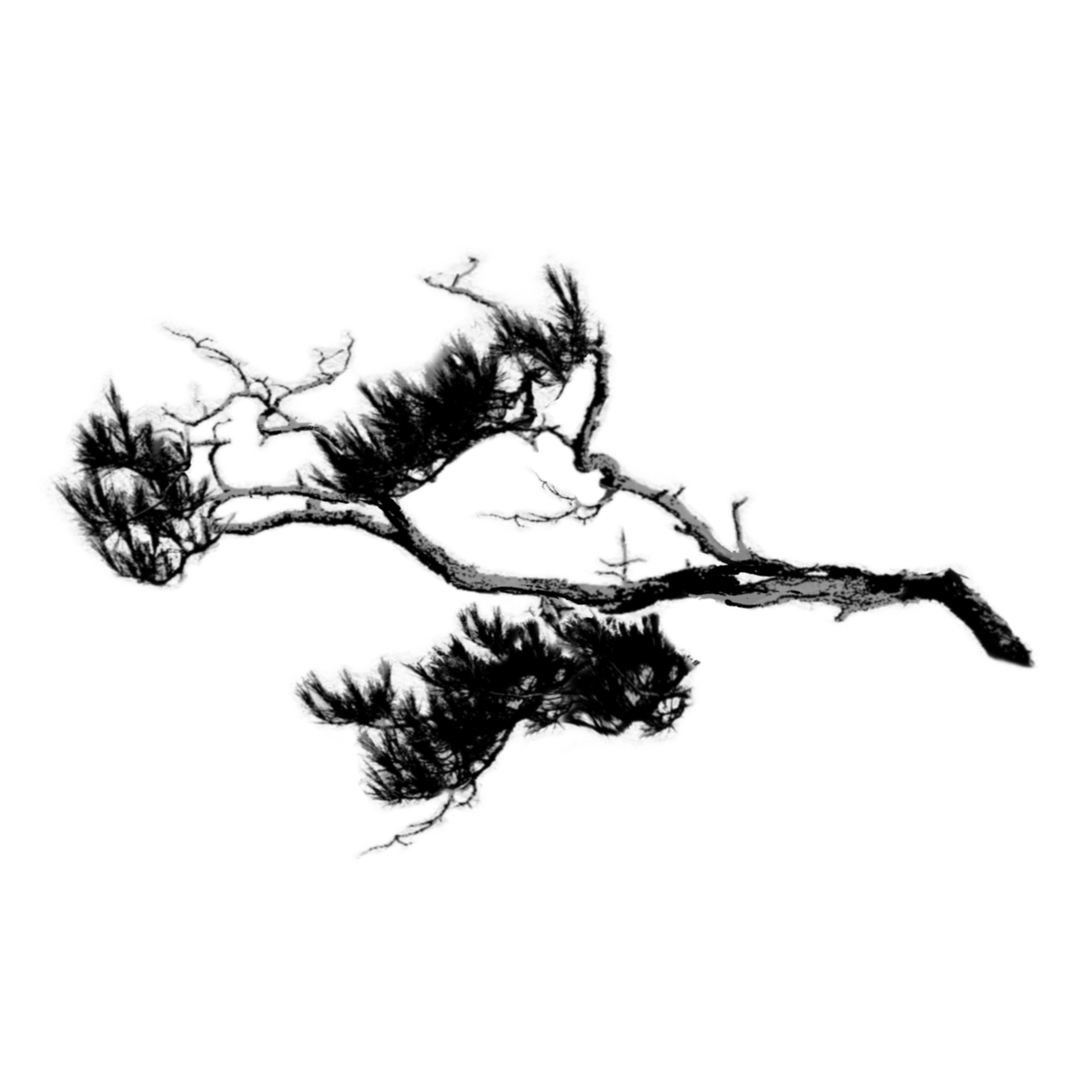 拙守制