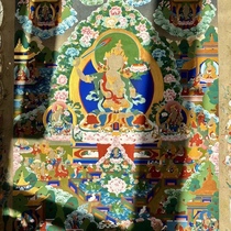 Live link for special shooting. Contact customer service before shooting for customization.