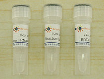 DNase I D7073 biyuntian biological Beyotime D7076