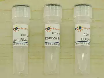 DNase I D7073 biyuntian biological Beyotime D7076