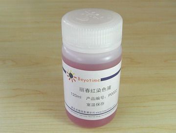 Lichun red stained liquid P0022 Biosphere Beyotime