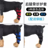 Коррекция собаки. Переломы.