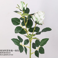 Зеленый сингл