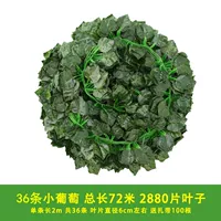 36 80 -Leaf Виноградные листья [Поставка доставки]