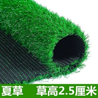 2,5 см. Маленькая трава Gao [50 квадратных метров]