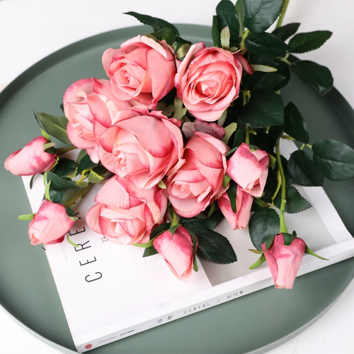 姞鍒 澶嶅 ╀ 淇 筜浠 湡鐜  懓鑺 懓鑺 潫瀹 潫瀹 ㈠ 巺瑁 骞 骞 姳 姳 姳 姳 ㈣ 鎻掕 姳 鎽 嗕 鑺 鑺