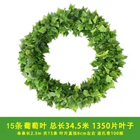 15 90 -Листья виноградных листьев [поставка]]