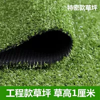 1 см высокая специальная секретная модель (50 квадратных метров)