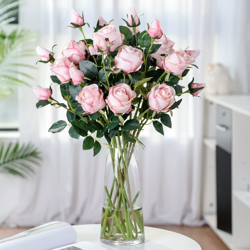 姞鍒 澶嶅 ╀ 淇 筜浠 湡鐜  懓鑺 懓鑺 潫瀹 潫瀹 ㈠ 巺瑁 骞 骞 姳 姳 姳 姳 ㈣ 鎻掕 姳 鎽 嗕 鑺 鑺